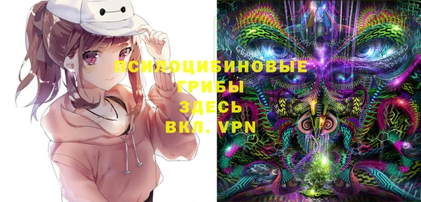 альфа пвп Гусев