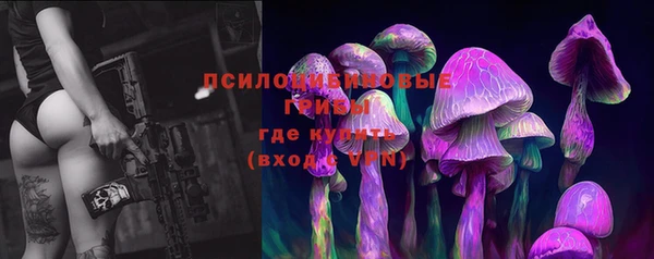 apvp Гусиноозёрск