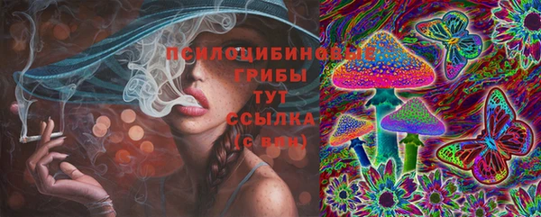 apvp Гусиноозёрск