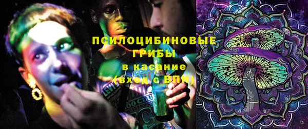альфа пвп Гусев