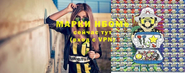 альфа пвп Гусев