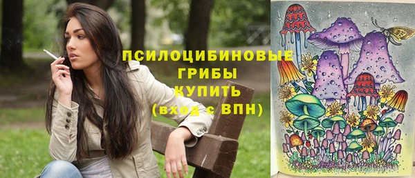apvp Гусиноозёрск