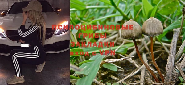 apvp Гусиноозёрск