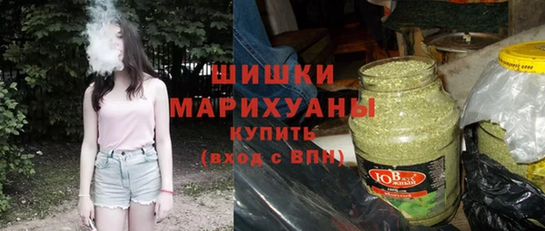 гидра Дмитров