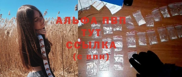 apvp Гусиноозёрск