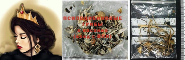 apvp Гусиноозёрск