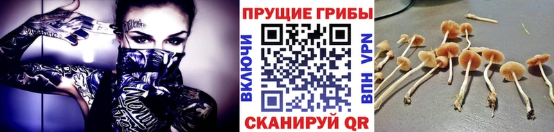 Галлюциногенные грибы мухоморы  Мостовской 